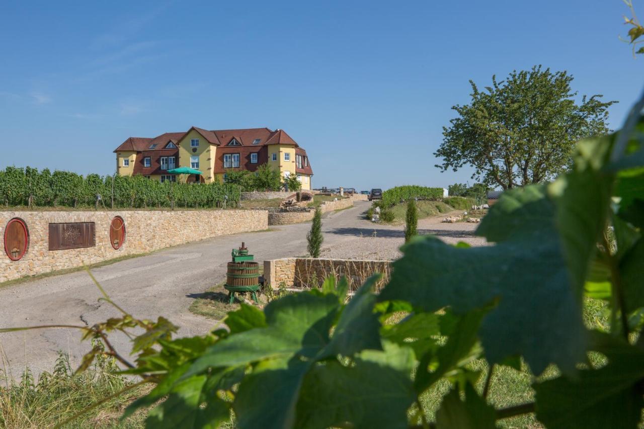 Appartement Privatweingut Schmidt à Heitersheim Extérieur photo