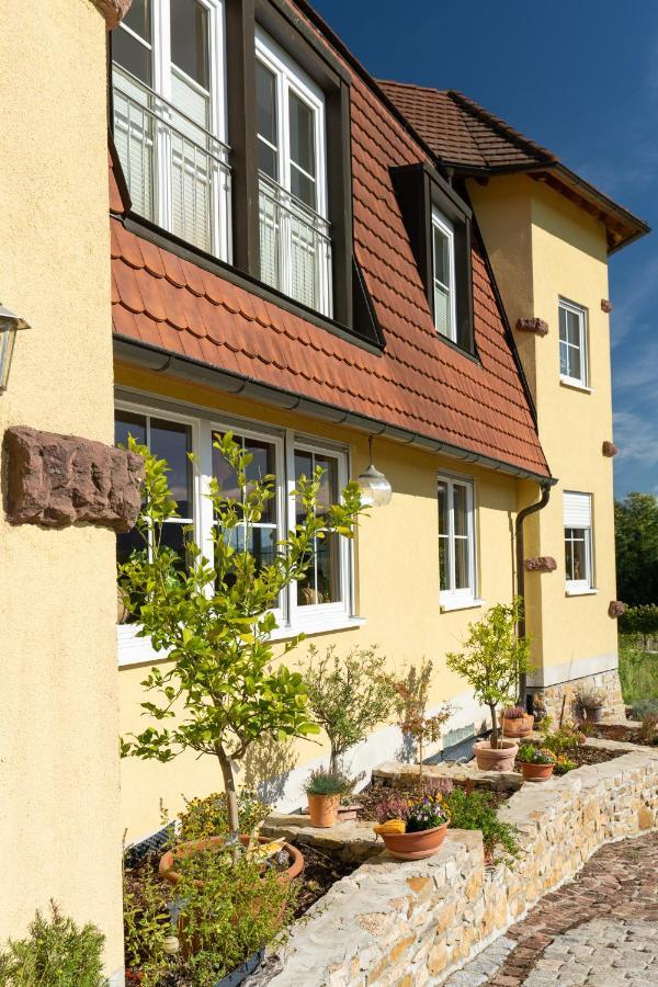 Appartement Privatweingut Schmidt à Heitersheim Extérieur photo