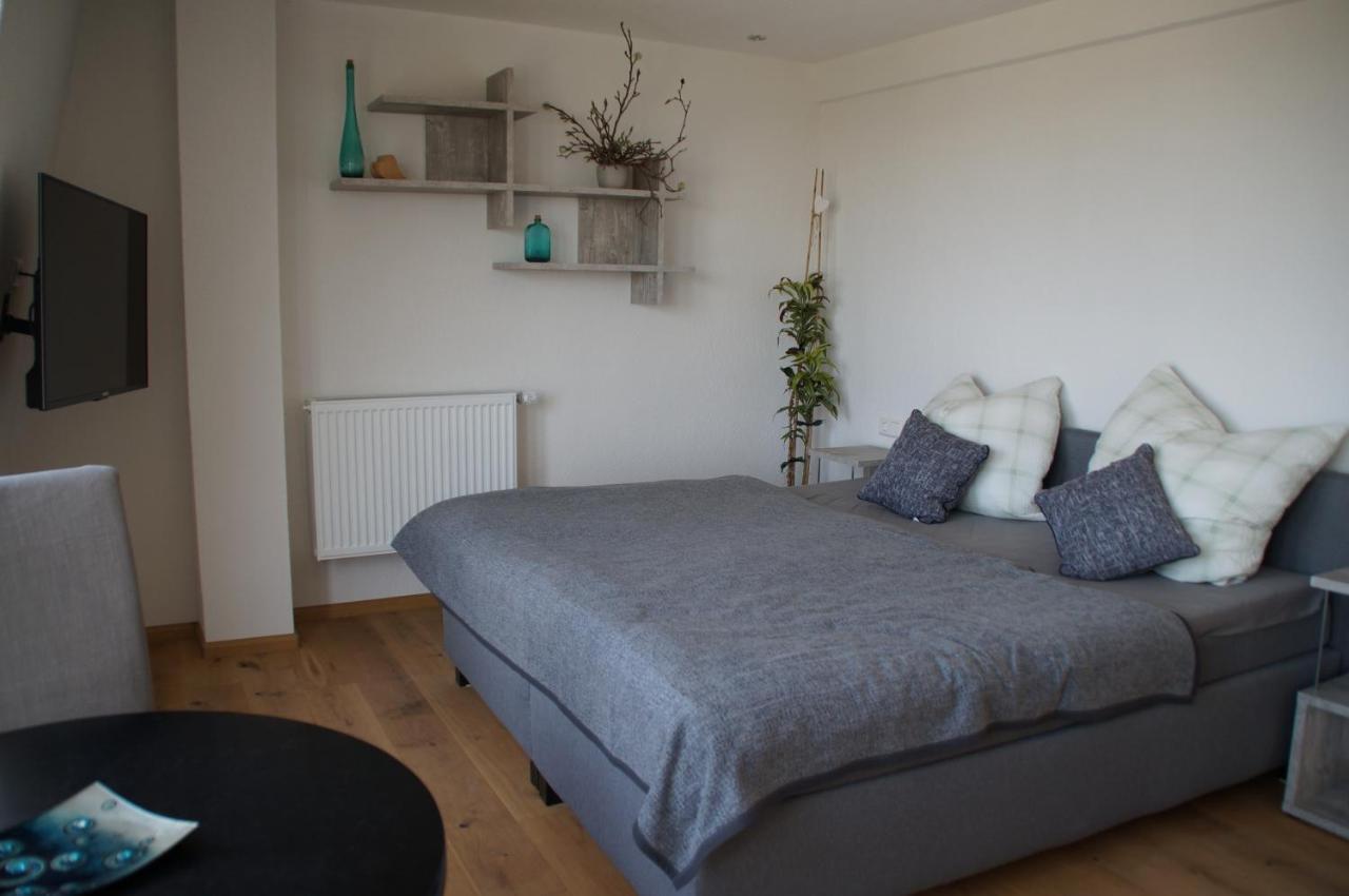 Appartement Privatweingut Schmidt à Heitersheim Extérieur photo